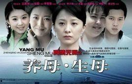 电视剧养母在线观看,温情演绎母爱如山