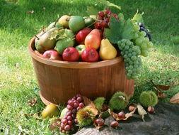 娱乐吃瓜场地图片高清大图,高清大图揭秘网红吃瓜场地 第2张 娱乐吃瓜场地图片高清大图,高清大图揭秘网红吃瓜场地 第2张